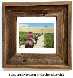 horse trail rides near me in Circleville, Ohio